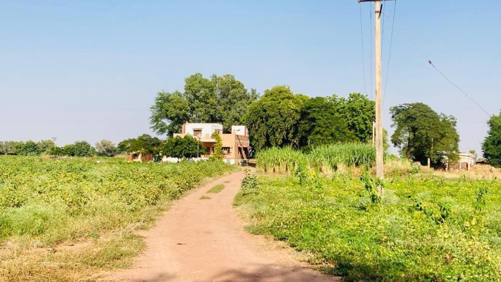 Ananya Farms Paradise Jodhpur (Rajasthan) Exterior foto